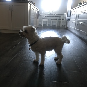 Fundraising Page: Victoria and Ava Hurley